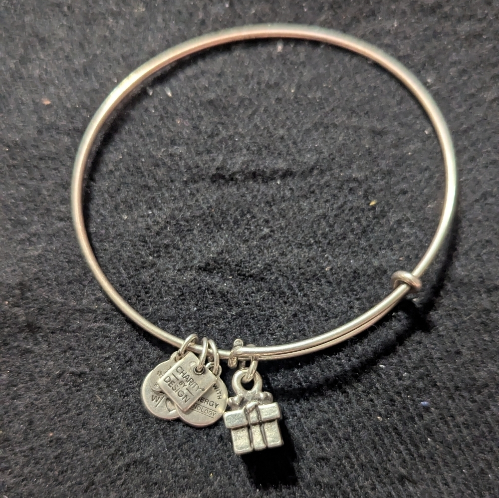 Alex And Ani Silver Tone Gift Present Charm Expandable Bangle Statement Bracelet